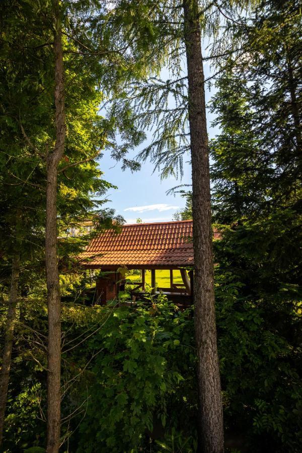 Uroczysko Villa Lesko Bagian luar foto